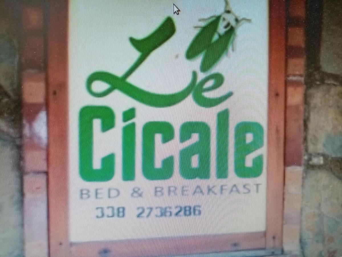 Bed & Breakfast Le Cicale Agropoli